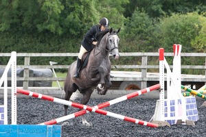 Class 3 -  Fences not above 2'3